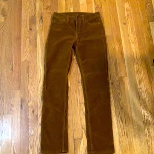 Patagonia Corduroy Pant